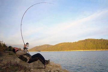 Carp Fishing
